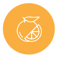 orange fruit