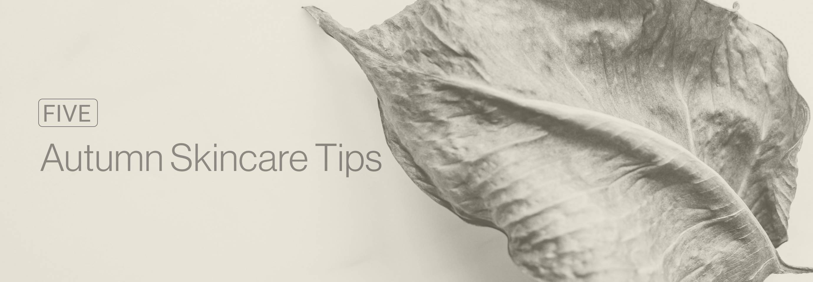 Autumn Skincare tips